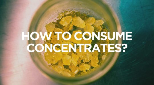 consume concentrates