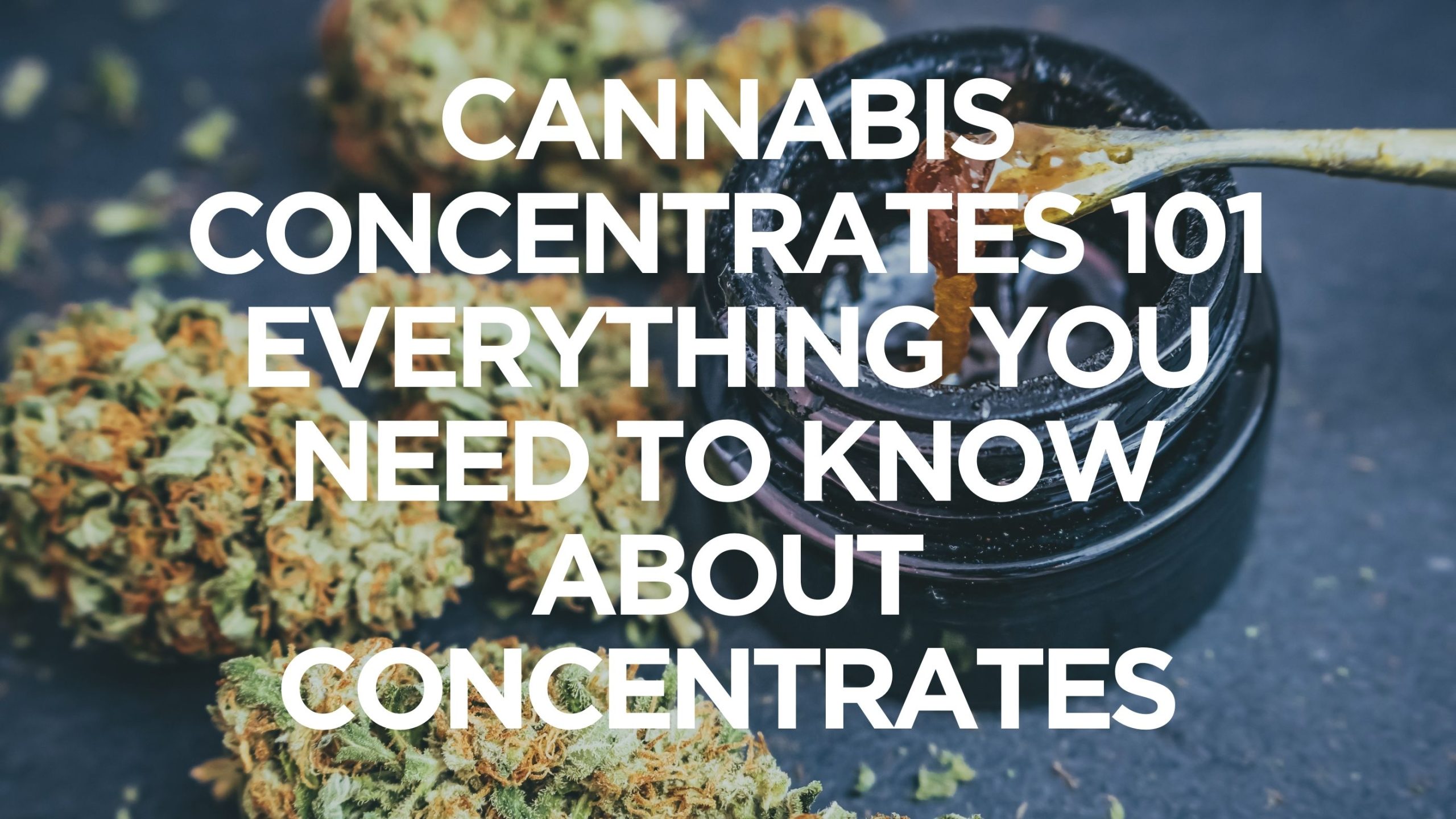 cannabis-concentrates-101-everything-you-need-to-know-about-concentrates